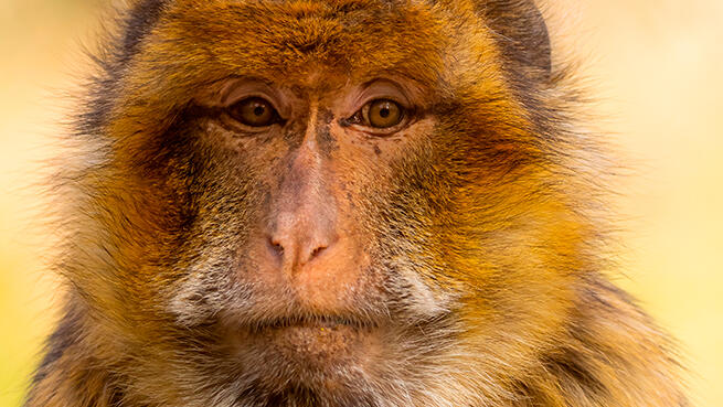 Plan en familia en BBK Karpin Fauna &iexcl;Entradas limitadas! image number 2